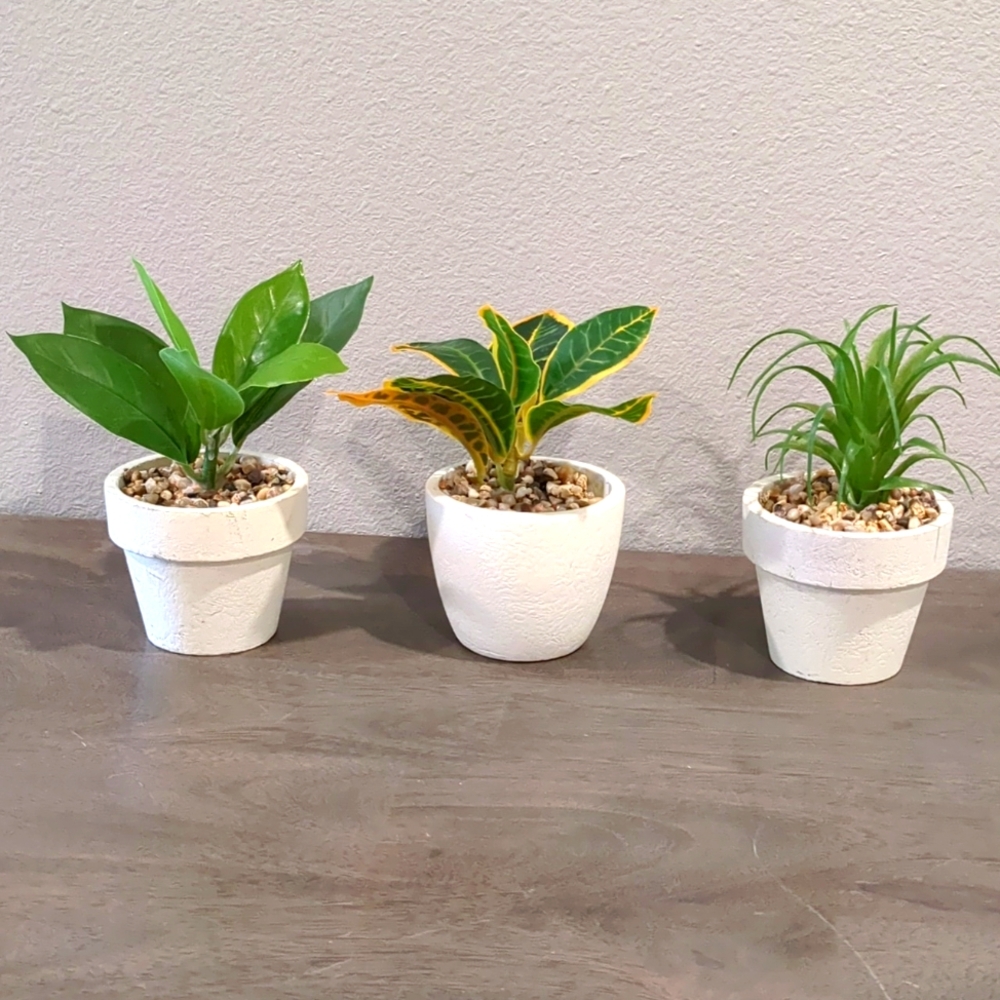 Set of  3 Mini Succulents Painted Clay Pots 3"